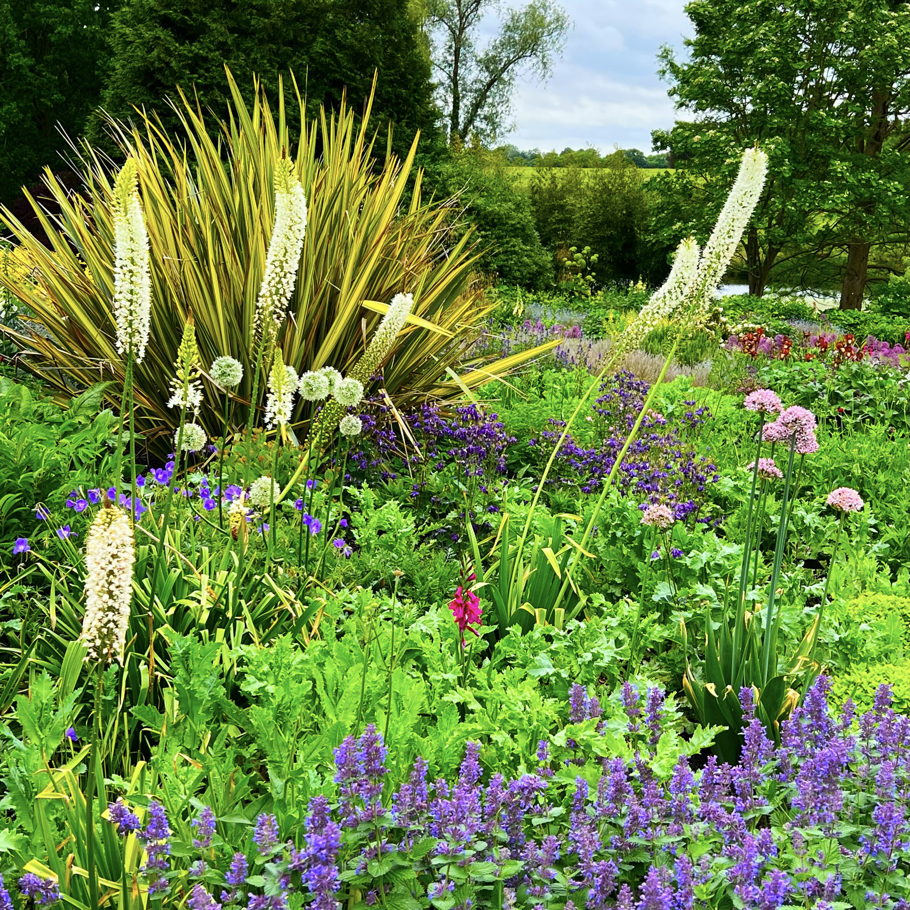 Beth Chatto’s Plants and Gardens
